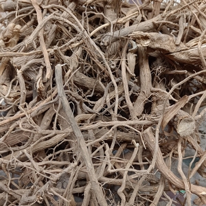 材 臭茉莉 臭屎茉莉 大髻婆 过墙风 冬地梅广西臭牡丹根500克