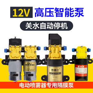 12v铜芯电动喷雾器高压隔膜泵农用打药机水泵喷雾器喷头配件大全