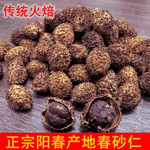 正宗阳春特产春砂仁干500克包邮中药用阳江砂仁果养胃茶泡酒泡蜜