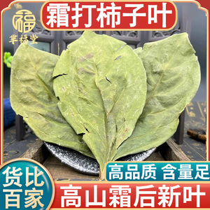 柿子叶中药材500克霜后新叶新鲜干货秋后翠绿市子叶茶整片可磨粉