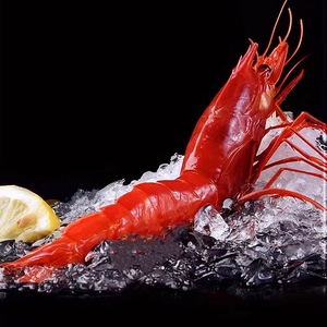 西班牙红魔虾鲜活速冻刺身级非莫桑比克大红魔虾新鲜日料生吃海鲜