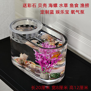 花盆鱼缸一体玻璃罐养鱼植物养花玻璃容器免打理生态鱼缸客厅摆放
