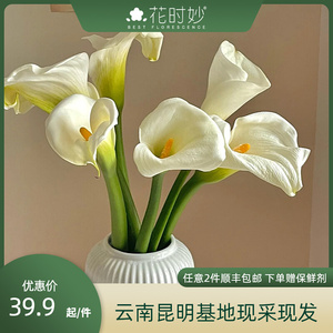 花时妙马蹄莲黄白鲜花真花水养鲜切花云南基地直发家用客厅办公