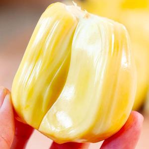 海南亚黄肉hok大果萝蜜新鲜水果红菠罗蜜当三季波一整个20-40斤包