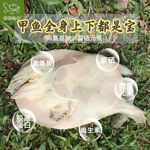 鲜活宰杀甲鱼肉现杀食用土甲鱼正宗中华老鳖水鱼团鱼王八真空包装