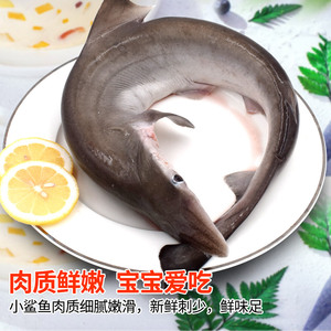 00kpc小超超淘宝小鲨鱼海鲜海钓小白鲨鲜活新鲜食用鲨鱼肉东山岛
