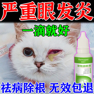 猫咪眼睛发炎流泪红肿流脓猫鼻支角结膜炎幼猫狗狗抗菌消炎眼药水