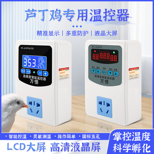 芦丁鸡饲养箱温控器液晶智能三显育雏保温温度控制开关自动控温器