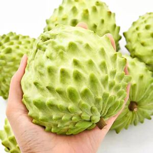 台湾品种凤梨释迦果新鲜水果番荔枝牛奶释迦摩尼果佛头果整箱包邮