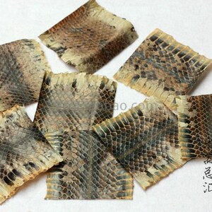 3至4斤乌稍蛇皮中段以上单块蛇皮京胡皮京胡蒙皮材料乐器配件