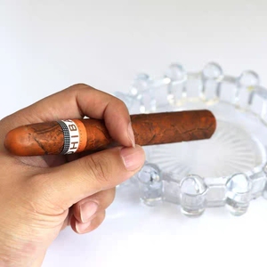 儿童玩具塑料雪茄假烟支模型道具戒烟用的创意香烟哨子恶搞笑男女