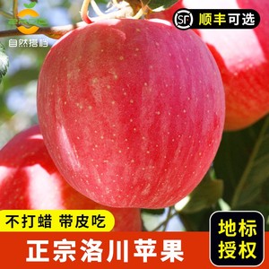 正宗陕西洛川苹果水果新鲜当季整箱10斤红富士脆甜一级冰糖心5