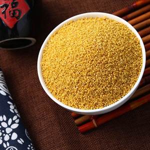 山西特产武乡小米新米沁州黄小米杂粮5斤