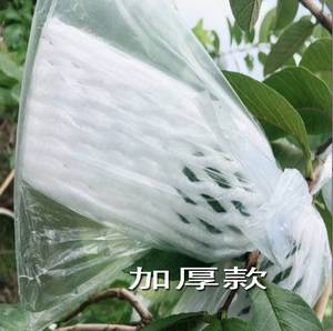 石榴袋套果树透明百香果袋绿果林套袋果袋葡萄袋子防虫水果包果袋