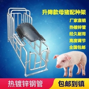 母猪种猪升降加厚配种架小母猪配种栏猪用配种架养殖场设备配猪架