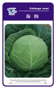 海纳甘蓝种子   莲花白  洋白菜  包包菜  卷心菜种子  昆蔬种业