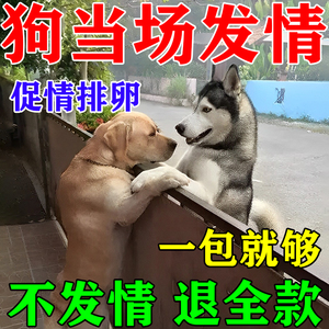 母狗发情剂狗狗配种药公狗用发情针的药水动物犬兽促情排卵粉神器