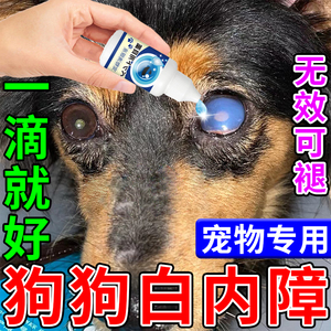 狗狗白内障滴眼液老年犬眼部清洁药治疗宠物猫咪角膜炎专用眼药水