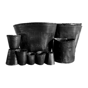 新款一次性育盆营养钵花苗苗营养a袋育苗盆育苗碗育袋杯厂家直销