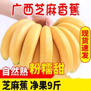 广西香蕉10斤新鲜水果包邮米蕉苹果芭蕉当季整箱现摘自然熟大香蕉