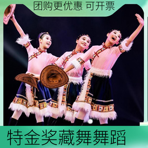 新款藏族舞蹈服表演服藏服学生演出服民族舞台服中裙《牧民心声》