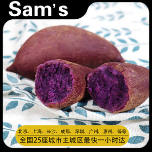 山姆会员超市代购海南康沙紫薯新鲜原汁原味地瓜粉糯香甜番薯蜜薯