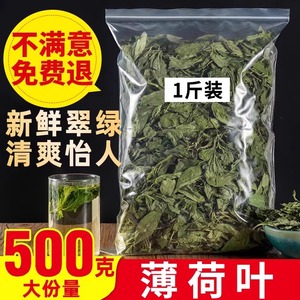 薄荷叶茶新鲜可食用薄荷叶柠檬茶薄荷水泡茶薄荷干正品官方旗舰店