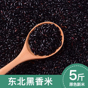 五常黑米新米五谷杂粮紫米红米糙米血糯米粗粮饭东北黑香米5斤