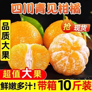 果冻橙四川正宗青见柑橘新鲜当季水果包邮桔子橘子丑耙粑橘子10斤