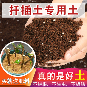 扦插专用土营养土养花通用型土壤育苗专用营养土养花泥土种植土壤