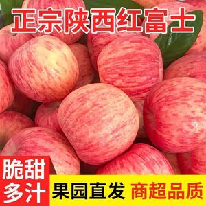 陕西洛川红富士苹果水果新鲜当季脆甜丑萍果整箱10斤嘎啦糖心包邮