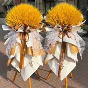 苏州大麦开业花篮麦穗同城昆山无锡常州南昌南京乔迁庆典鲜花速递