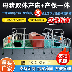 双体母猪产床保育床一体产保两用床养殖设备猪用分娩床产保单体