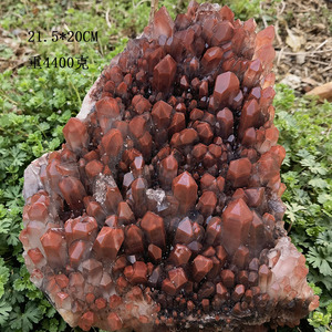 天然红水晶簇 红幽灵晶簇原石摆件矿物晶体消磁奇石摆件礼品矿石