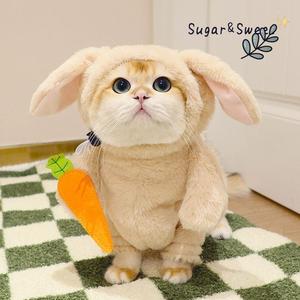 搞怪猫咪衣服宠物搞怪跳直立衣带胡萝卜搞笑兔子可爱抖音同款衣服