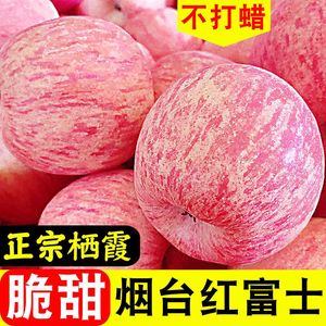 山东烟台栖霞正宗红富士奶油苹果脆甜新鲜水果批-发整箱3/5/9斤特