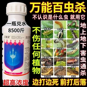 高效氯氟氰菊酯蔬菜青虫果树农药土壤地下害虫花卉蚜虫杀虫剂农用