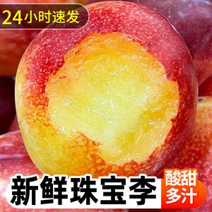 智利进口品种珠宝李子当季新鲜红布林整箱血丝李水果 樱桃李新鲜