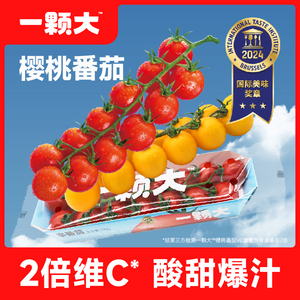【一颗大】串收樱桃番茄水果千禧小番茄新鲜自然熟生吃小西红柿
