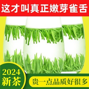 雀舌绿茶2024年新茶叶明前特级嫩芽毛尖春茶浓香型正品官方旗舰店