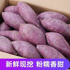 山东紫罗兰紫薯9斤新鲜现挖紫心红薯山芋烟薯香薯蔬菜农家自种