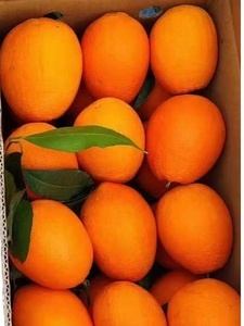 橙子10斤20斤纽荷尔新鲜带叶无籽鹅蛋椭圆形精品送礼