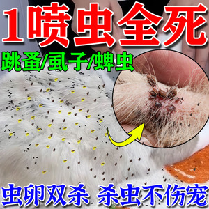 去猫身上跳蚤的药幼猫狗狗体外驱虫粉专用去除蜱虫虱子跳蚤喷雾剂