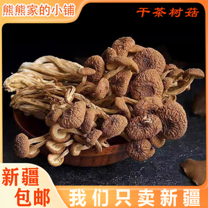 新疆包邮古田500g农家茶树菇干货特产新鲜茶薪菇香菇蘑菇金针菇俏