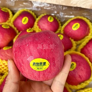 青怡洛川苹果 24-36颗箱应季新鲜水果 陕西特产 新鲜富士苹果包邮