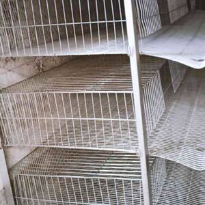 鹌鹌鹑笼自动滚蛋下蛋产蛋笼子鹧笼镀锌鹧鸪折叠家用养殖鸟笼方便