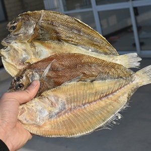 大地鱼干淡干大号左口鱼云吞汤底比目鱼水产鱼干货铁脯熬汤500克