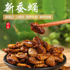 香酥蚕蛹开袋即食山东土特产油炸五香小蚕蛹熟食零食小吃厂家直发