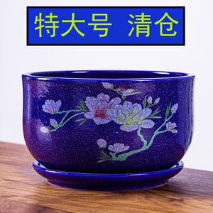 【花盆陶瓷蟹爪兰】花盆陶瓷蟹爪兰品牌,价格 - 阿里巴巴