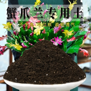 蟹爪兰专用土盆栽酸性土园艺家用营养土壤种植土通用土有机土肥料